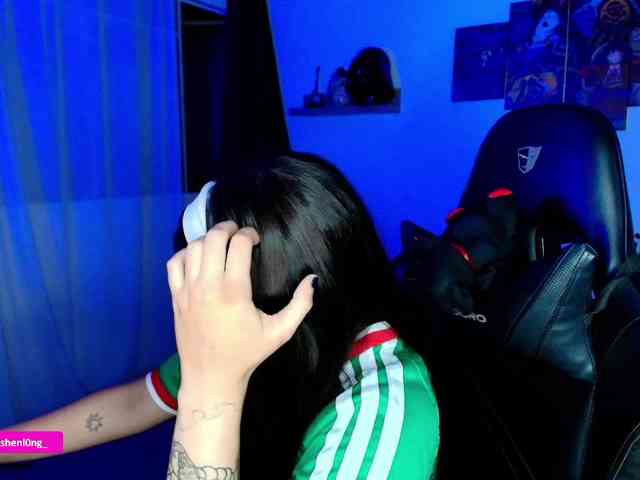 Nicorobin webcam
