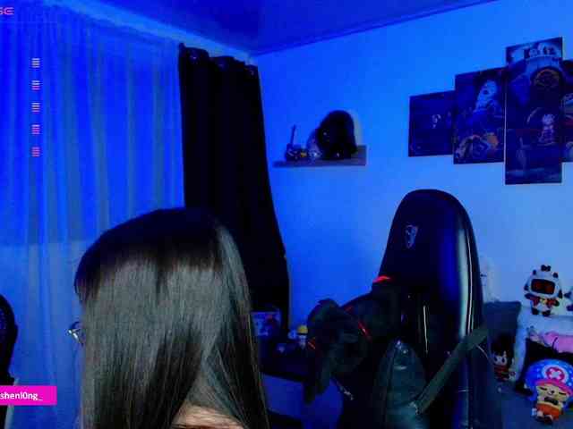 Nicorobin webcam