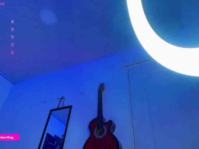 Nicorobin webcam