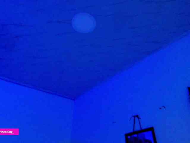 Nicorobin webcam