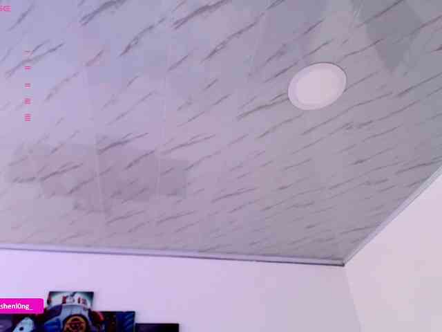 Nicorobin webcam