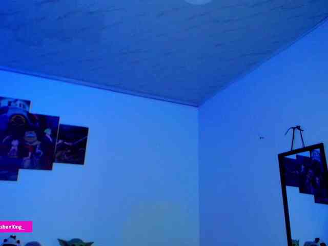 Nicorobin webcam