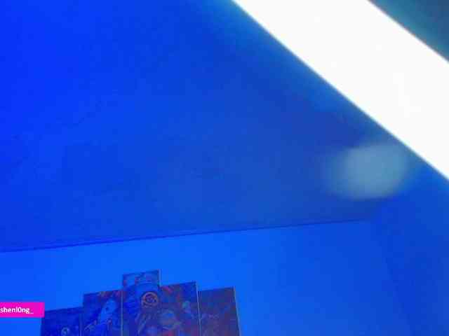 Nicorobin webcam