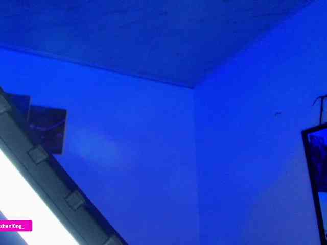 Nicorobin webcam
