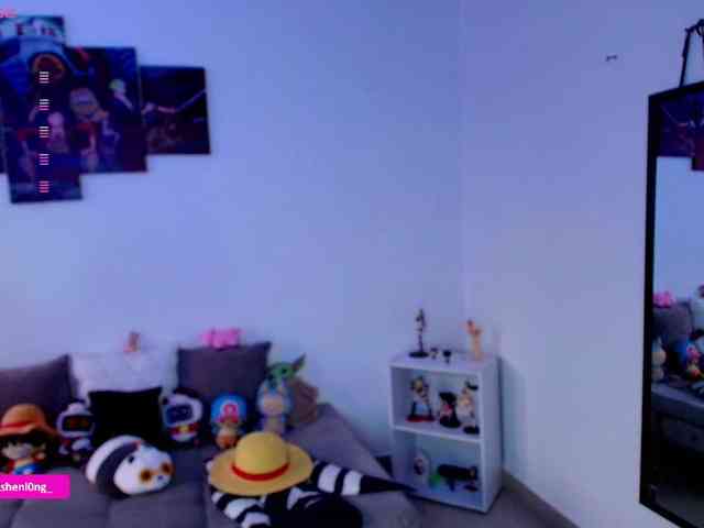Nicorobin webcam
