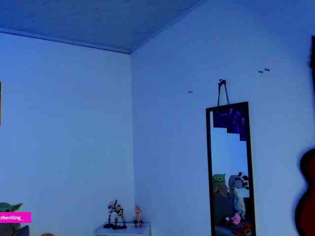 Nicorobin webcam