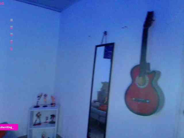 Nicorobin webcam