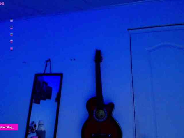 Nicorobin webcam