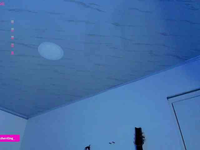 Nicorobin webcam