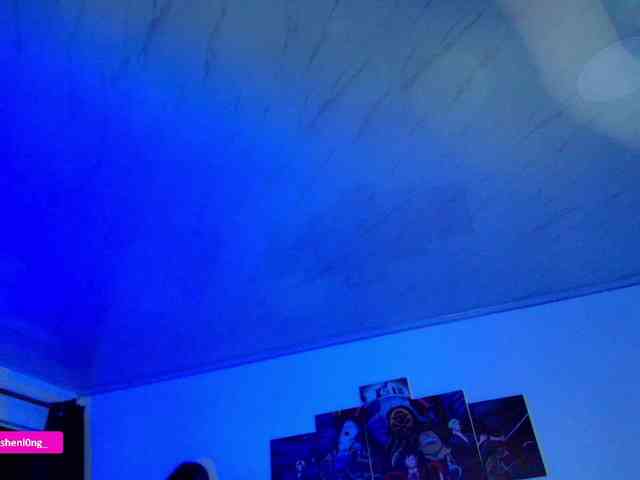 Nicorobin webcam