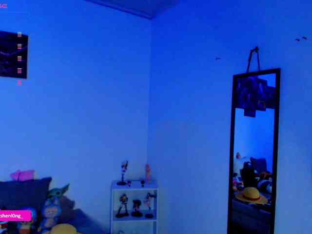 Nicorobin webcam