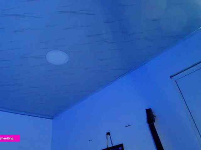 Nicorobin webcam