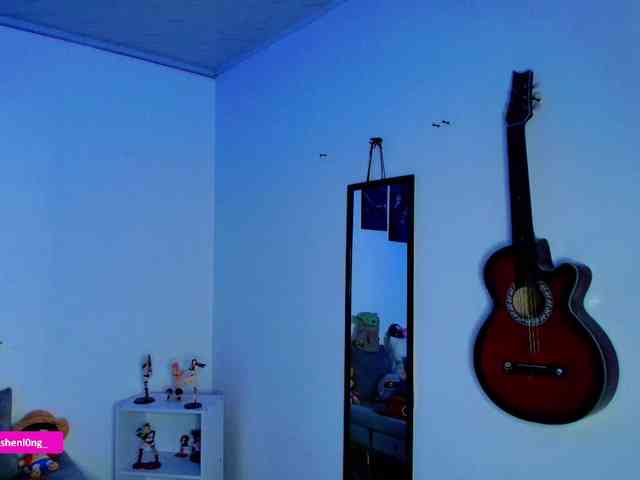Nicorobin webcam