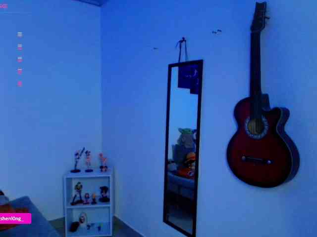 Nicorobin webcam