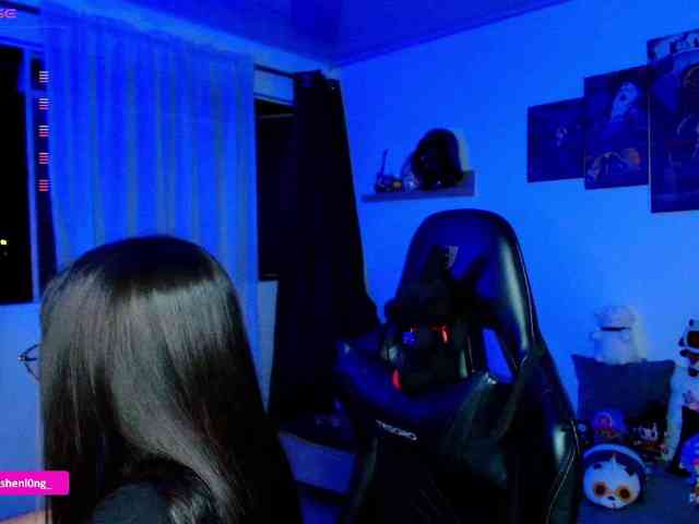 Nicorobin webcam