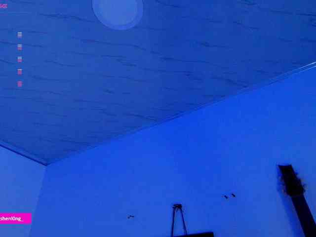 Nicorobin webcam