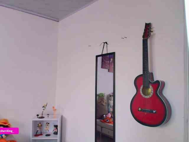 Nicorobin webcam
