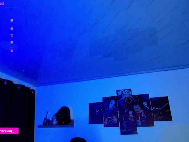 Nicorobin webcam