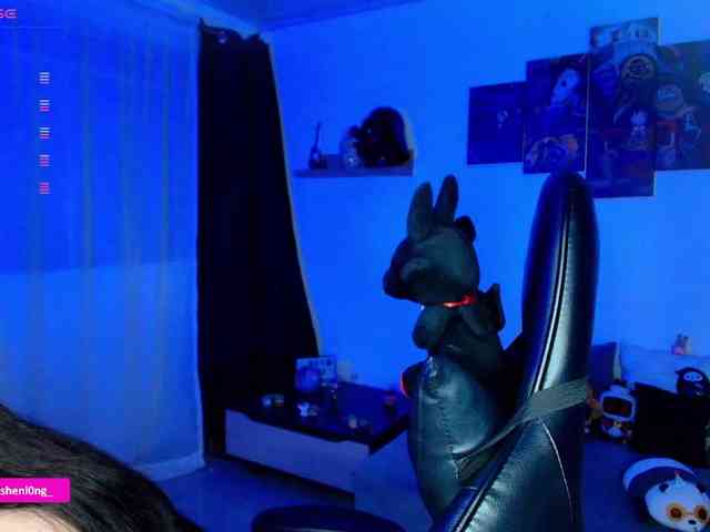 Nicorobin webcam