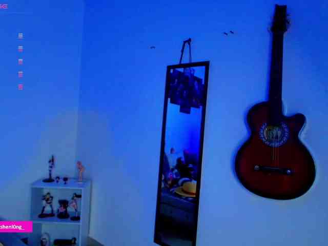Nicorobin webcam