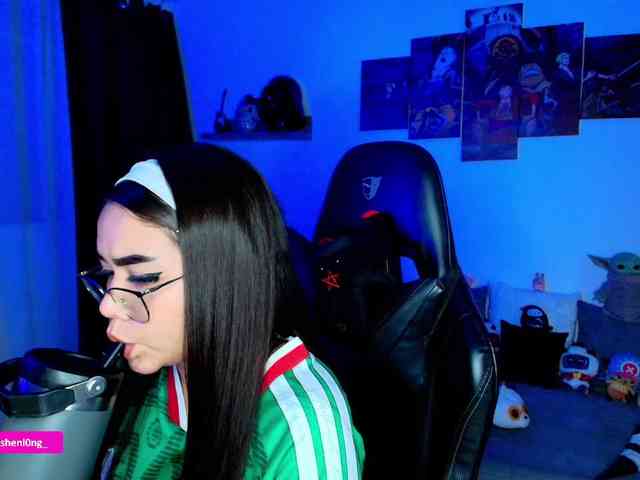 Nicorobin webcam