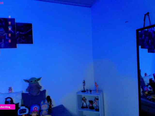 Nicorobin webcam