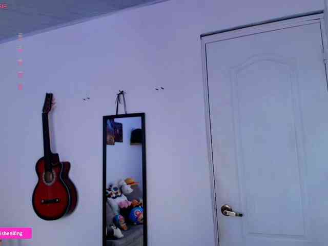 Nicorobin webcam