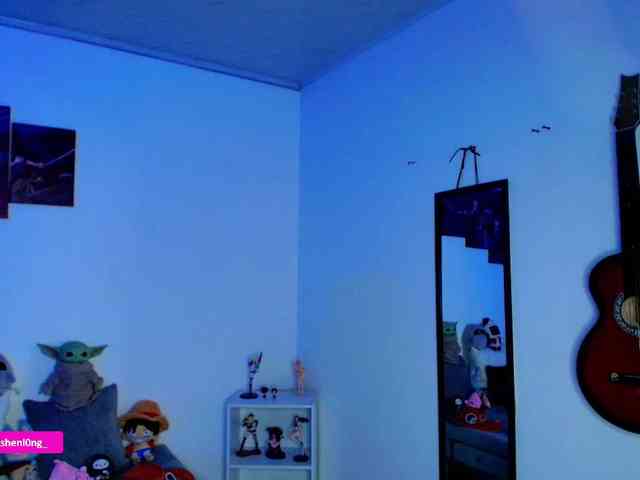 Nicorobin webcam