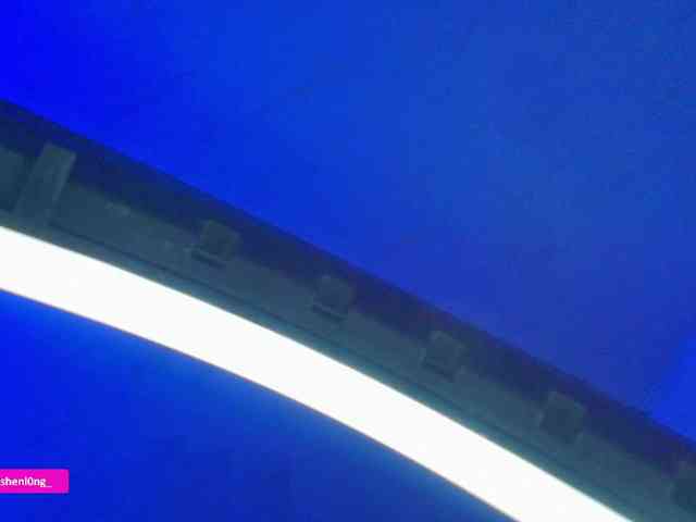 Nicorobin webcam