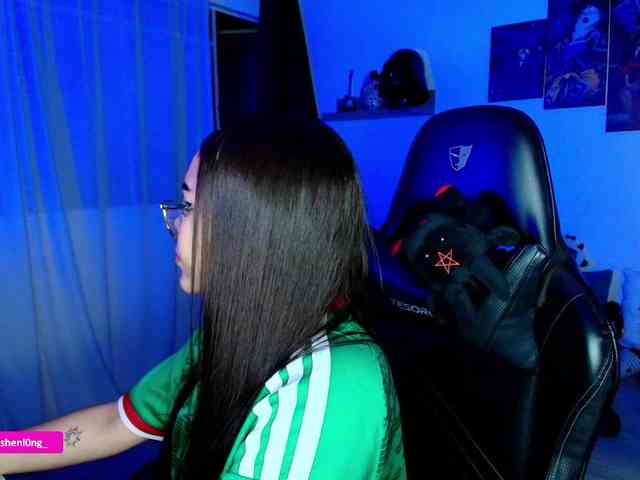 Nicorobin webcam