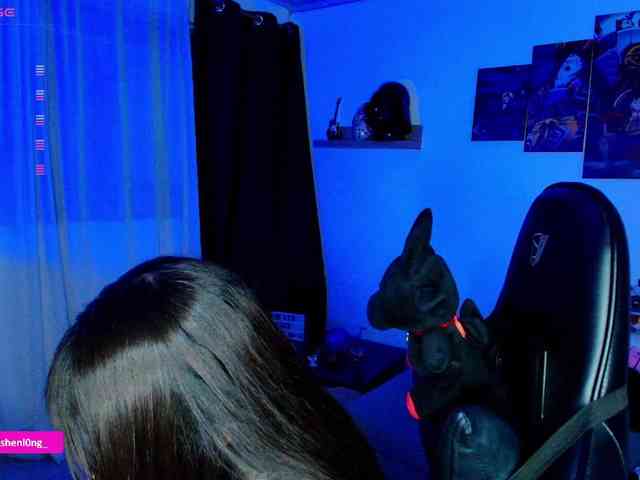 Nicorobin webcam