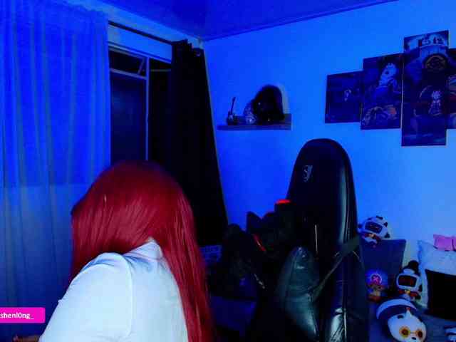 Nicorobin webcam
