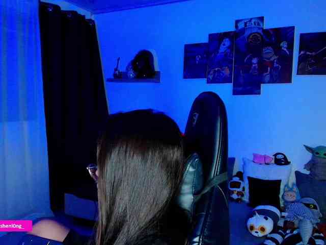 Nicorobin webcam