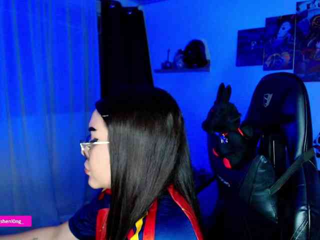 Nicorobin webcam