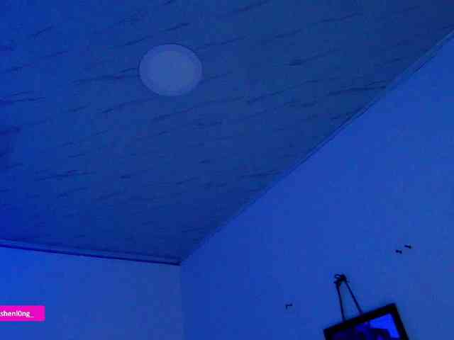 Nicorobin webcam