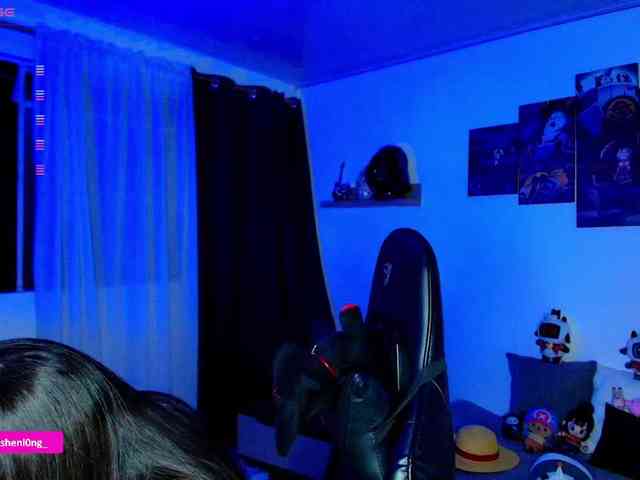 Nicorobin webcam