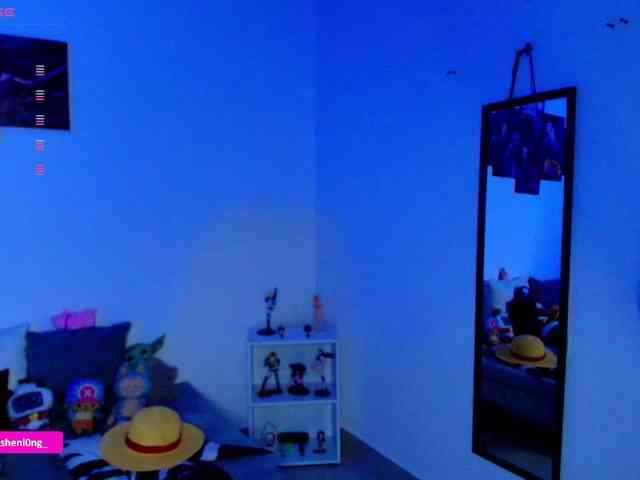 Nicorobin webcam