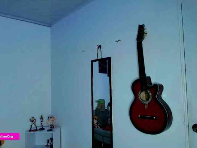 Nicorobin webcam