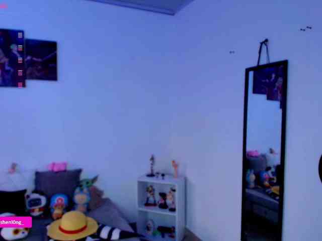Nicorobin webcam