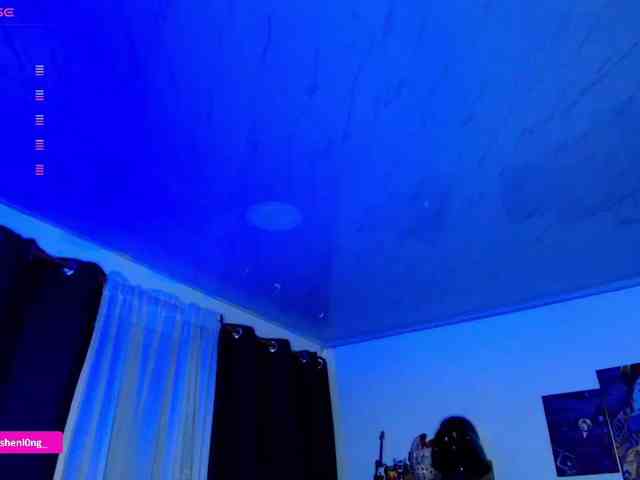 Nicorobin webcam