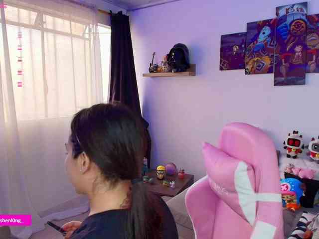 Nicorobin webcam