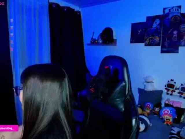 Nicorobin webcam