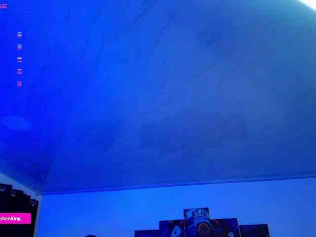 Nicorobin webcam