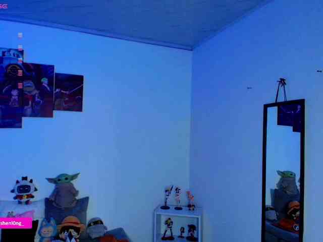 Nicorobin webcam