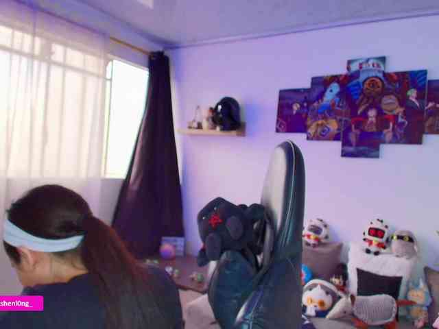 Nicorobin webcam