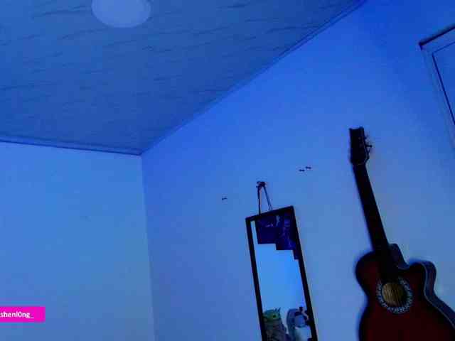 Nicorobin webcam