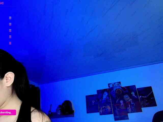 Nicorobin webcam