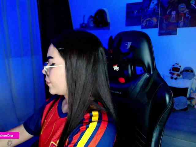Nicorobin webcam