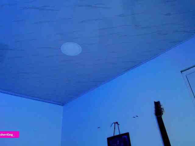Nicorobin webcam