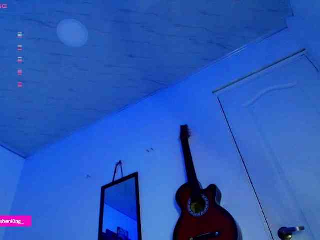 Nicorobin webcam